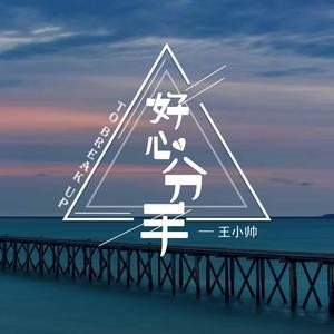 日韩午夜片
